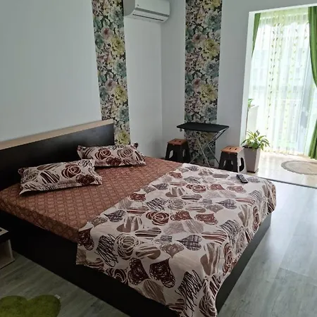 شقة Garsoniere Ana ساتورْنْ