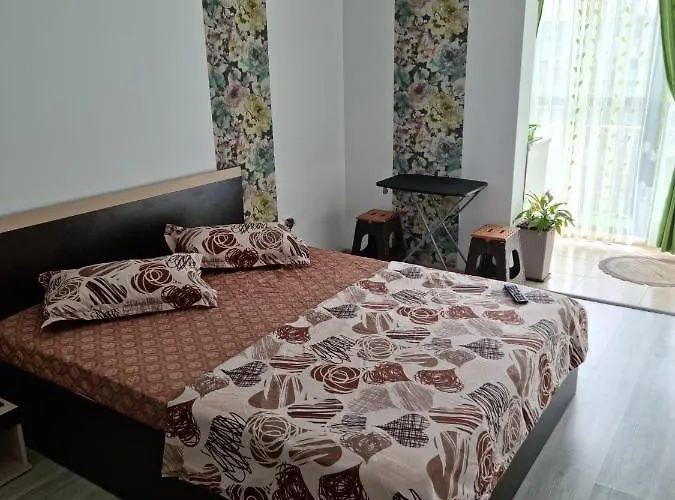 Lejlighed Garsoniere Ana Saturn