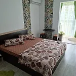 公寓 Garsoniere Ana 萨图恩