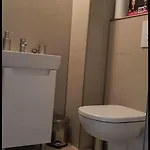 公寓 Garsoniere Ana 萨图恩