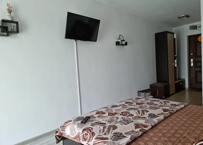 Garsoniere Ana דירה *